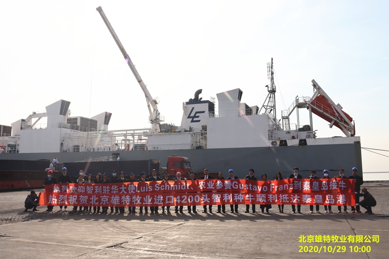 5f9af112d8bcd.jpg
