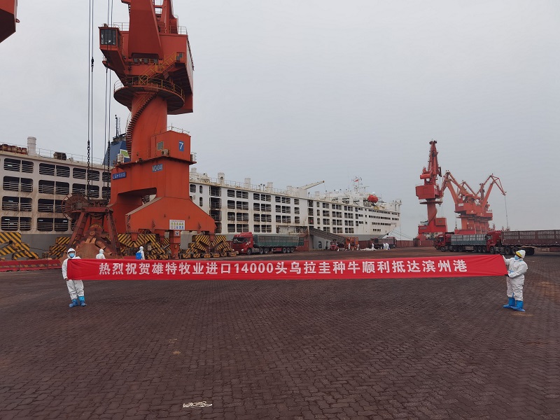61b314d206ddd.jpg